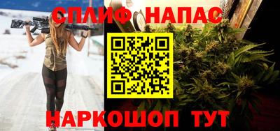 прущие грибы Кингисепп
