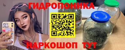 PSILOCYBIN Кинель