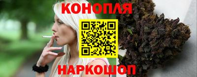 прущие грибы Кингисепп