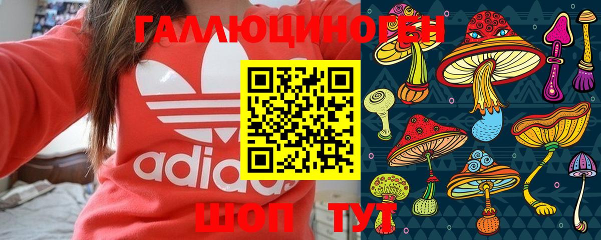 Псилоцибиновые грибы мицелий Хабаровск