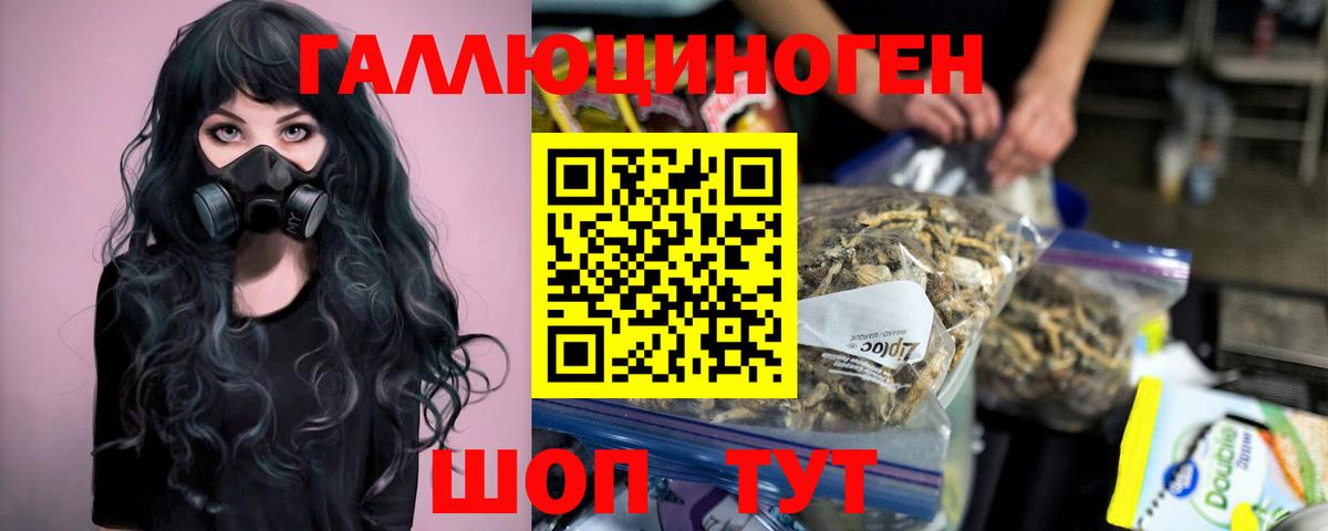 Галлюциногенные грибы GOLDEN TEACHER  Хабаровск 