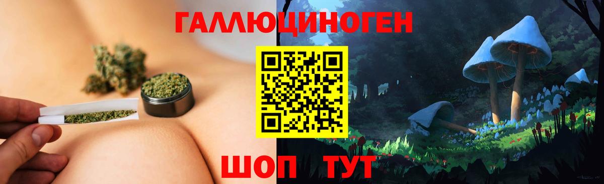 Псилоцибиновые грибы MAGIC MUSHROOMS  Вход с VPN  Хабаровск 